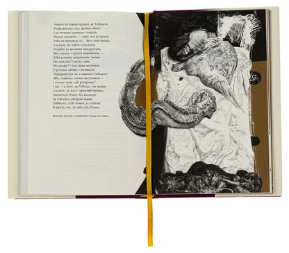 Open book with illustration.