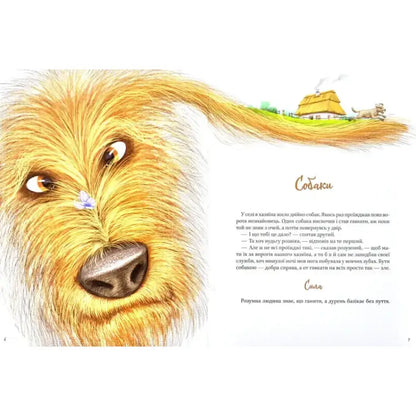 Whimsical dog illustration from Skovoroda Fables by Innokentiy Korshunov and Leonid Ushkalov