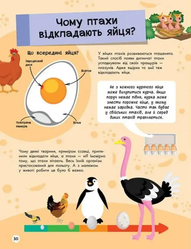 Informational page about birds laying eggs from The Big Encyclopedia for Curious Kids reference book