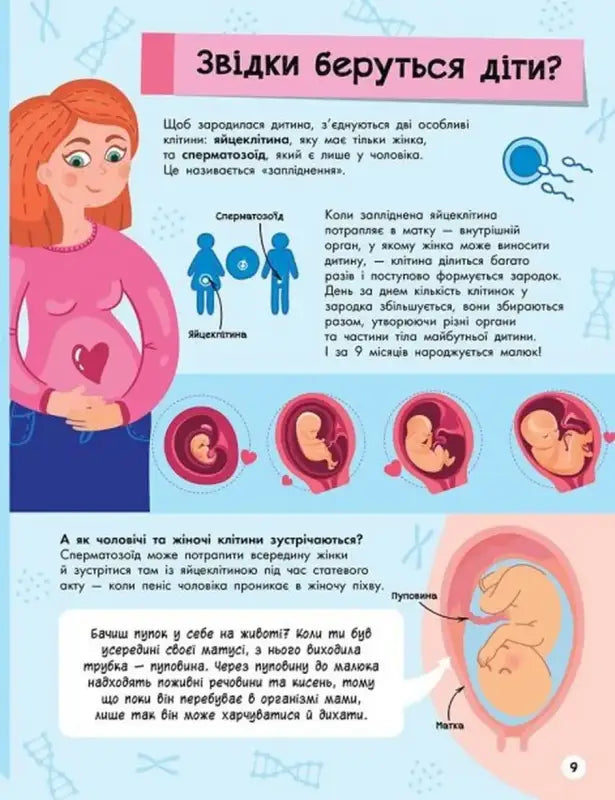 Informational diagram about human reproduction from The Big Encyclopedia for Curious Kids