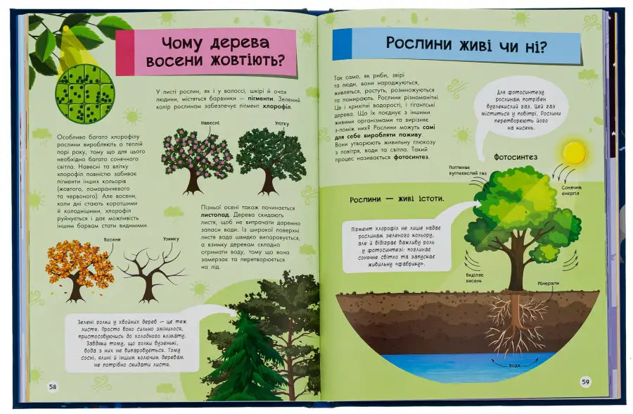 Open book with educational illustrations from The Big Encyclopedia for Curious Kids, a reference book