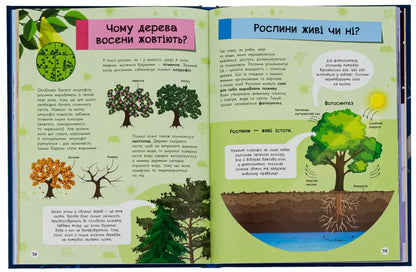 Open book with educational illustrations from The Big Encyclopedia for Curious Kids, a reference book