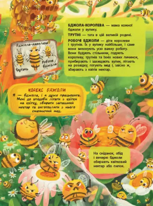 Cartoon bees and text from The Secret Life of Insects children’s book introduces young readers