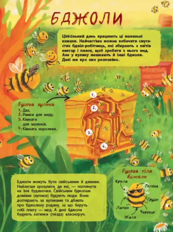 Educational illustration of bees and a beehive from The Secret Life of Insects children’s book