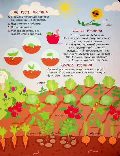 Educational illustration of plant growth and vegetable crops from the Secret Life of Plants children’s book