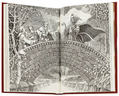 Open book with a black and white illustration.