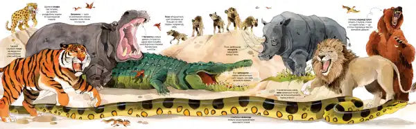 Realistic alligator toy with open mouth in Usborne Big Book of Big Animals