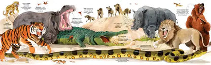 Realistic alligator toy with open mouth in Usborne Big Book of Big Animals