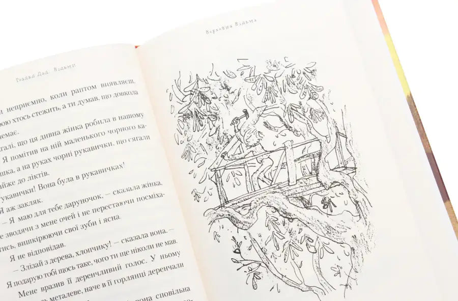 Book illustration of a treehouse.
