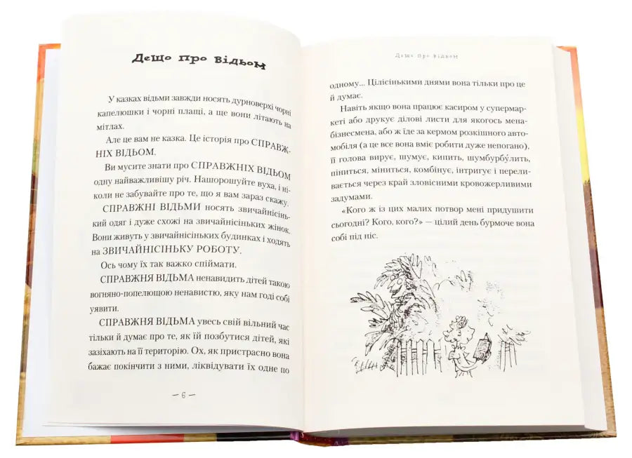 Open book with text and illustration.