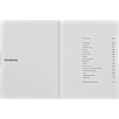Open book showing table of contents of Ukrainian Insider by Bohdan Logvinenko English edition