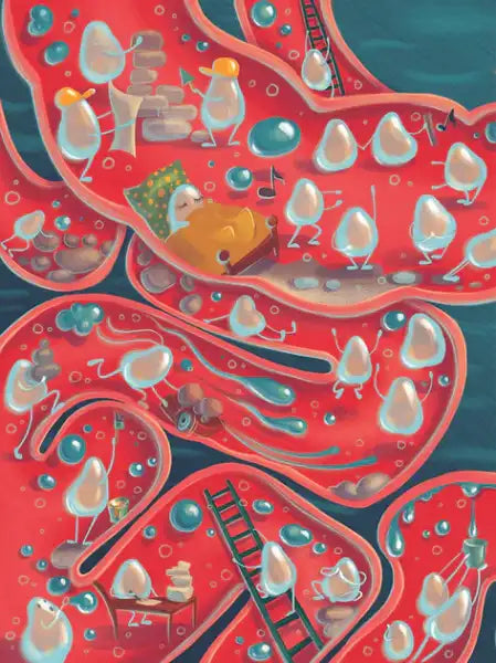 Whimsical maze-like internal body system with cartoon cells from Yulia Yarmolenko’s Ukrainian hardcover exploring kakunts disappear