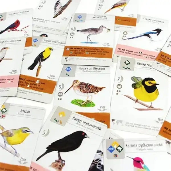 Wingspan board game educational bird ID cards with Ukrainian text