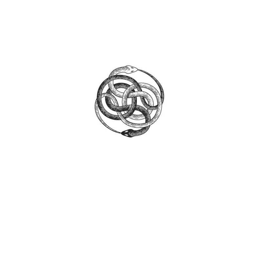 Illustration of an intricate serpent knot design, symbolizing eternity and interconnectedness.